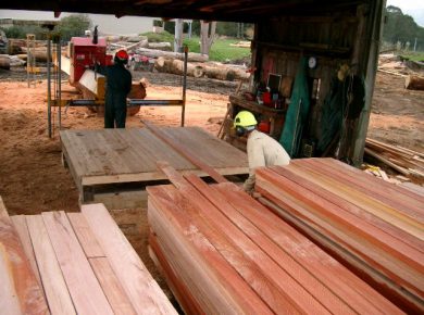 jasa sawmill penggergajian kayu 2